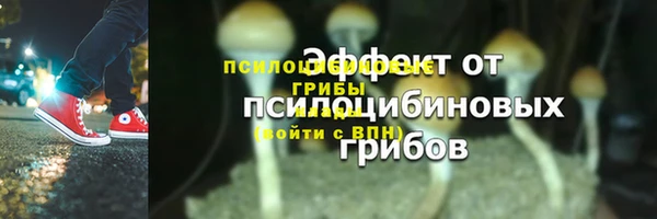 сатива Армянск